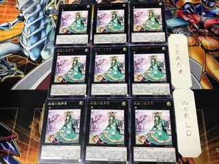 Sylvan Princessprite 1 rare, set of 9 Tera.