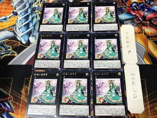 Sylvan Princessprite 3 Rare Set of 9 Tera.