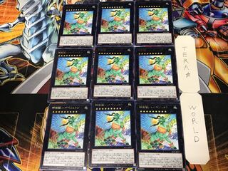 Shinjujuju Hyperuton 1 rare, set of 9, Tera.