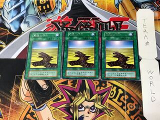 永遠の渇水 5 初期 レア 3枚セット てら