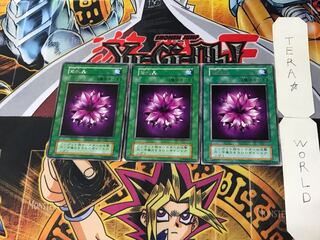 Violet Crystal 5 Early Rare Set of 3 Tera