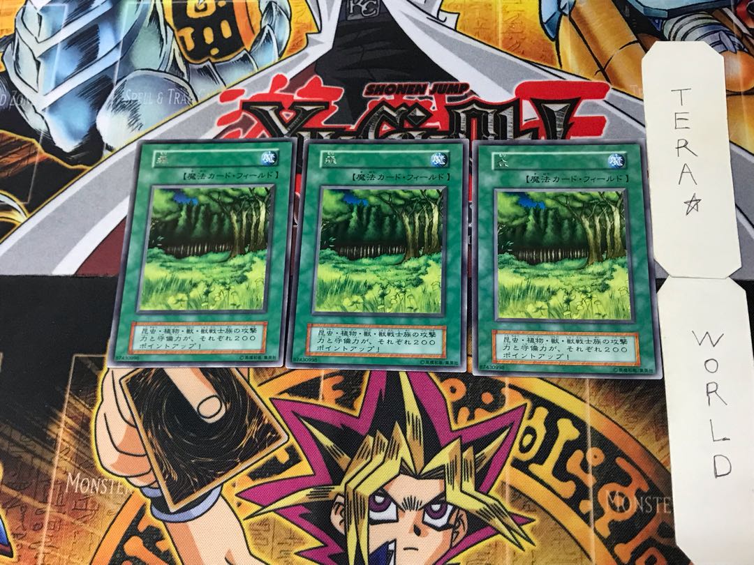 Forest 1 Early Rare Set of 3 Tera.