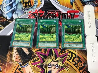 Forest 2 Early Rare Set of 3 Tera.