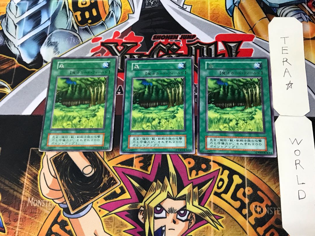 Forest 3 Early Rare Set of 3 Tera