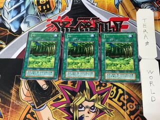 Forest 5 Early Rare Set of 3 Tera.