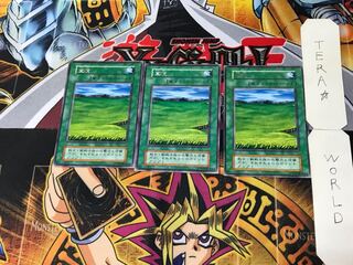 Grasslands 1 Early Rare Set of 3 Tera.