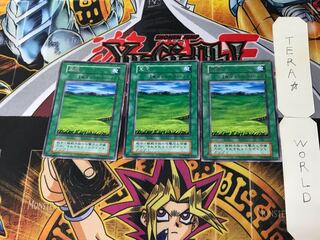 Grasslands 5 Early Rare Set of 3 Tera.