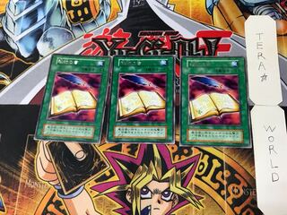 Book of Secret Arts 4 Early Rare, set of 3 Tera.