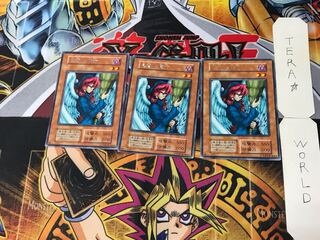 Witch's Apprentice 2 Early Rare Set of 3 Tera.