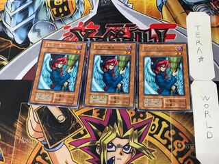 Witch's Apprentice 5 Early Rare Set of 3 Tera.