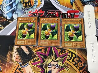 Hourglass of Courage 4 Early Rare Set of 3 Tera