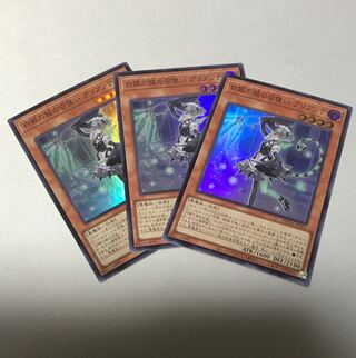 Arianna, the Servant of the White Silver Castle Super Rare JP017