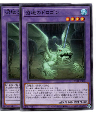 Set of 2 Mudragon of the Swamp Normal JP003