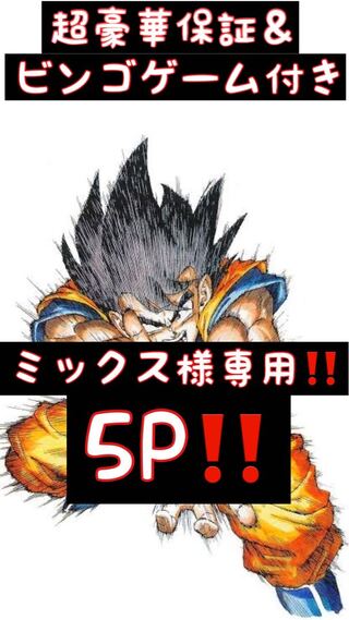 ミックス様専用!5口!超豪華保証&ビンゴゲーム付き!