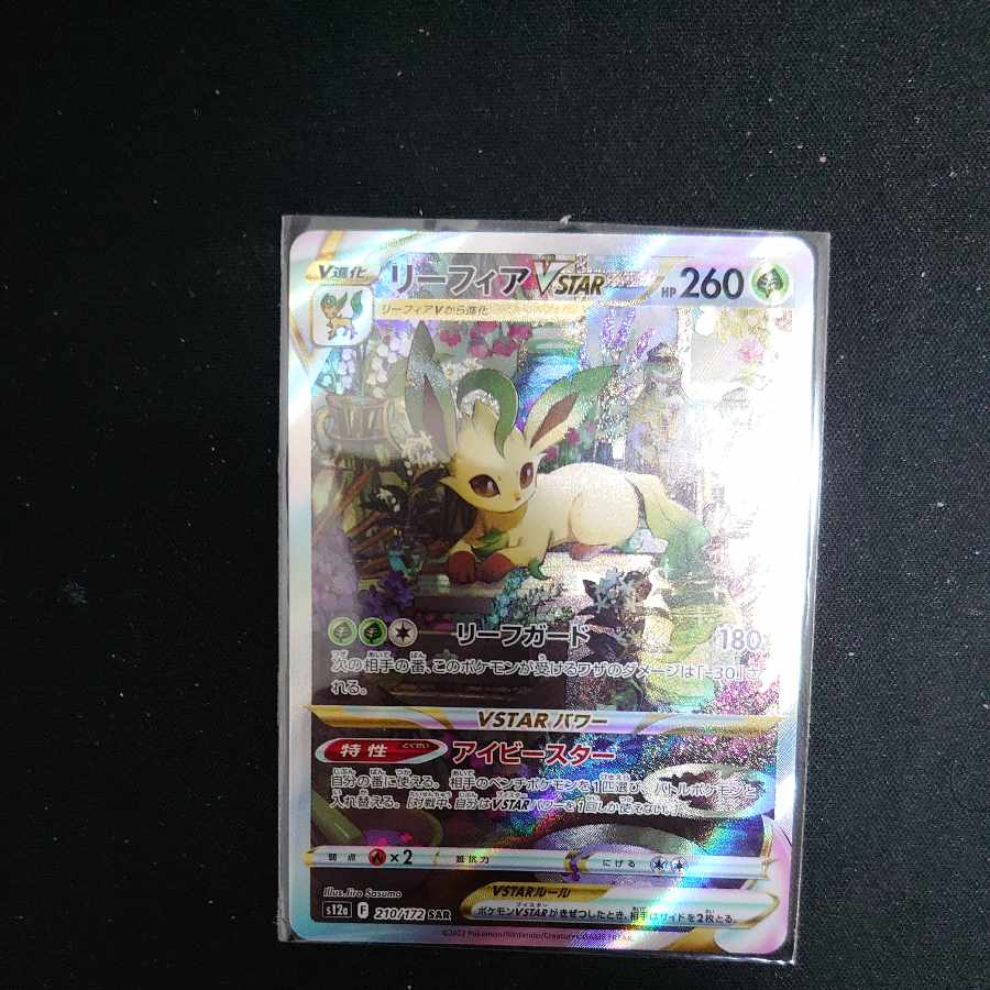 LeafeonVSTAR SAR 210/172