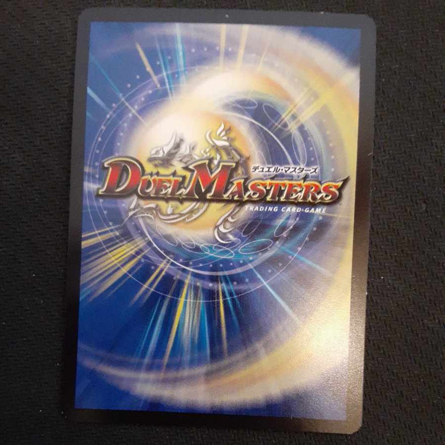 秩序の意志 R 65/100