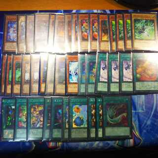 ingさん限定 ウィッチクラフト