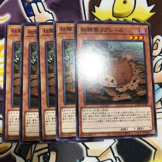 Karei Kareiha Replaces Normal JP029