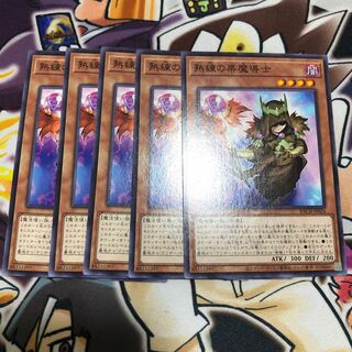 熟練の栗魔導士 ノーマル JP024