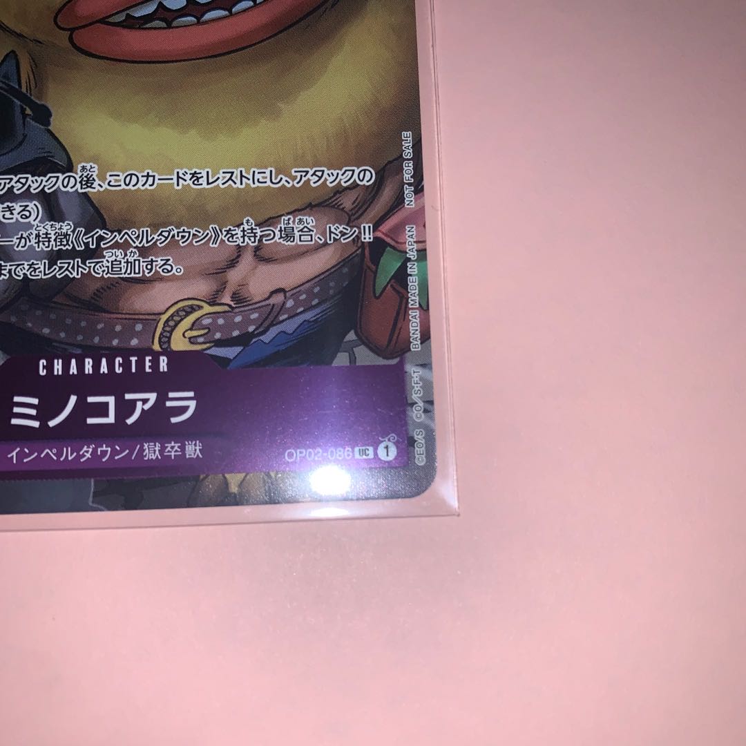 Mino Koala UC Set of 2