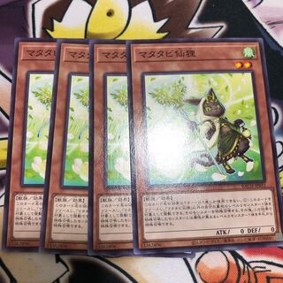 Matatabi sengan tanuki normal JP031