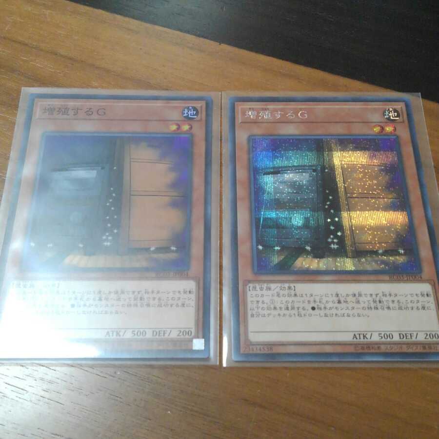 増殖するG　シクセット