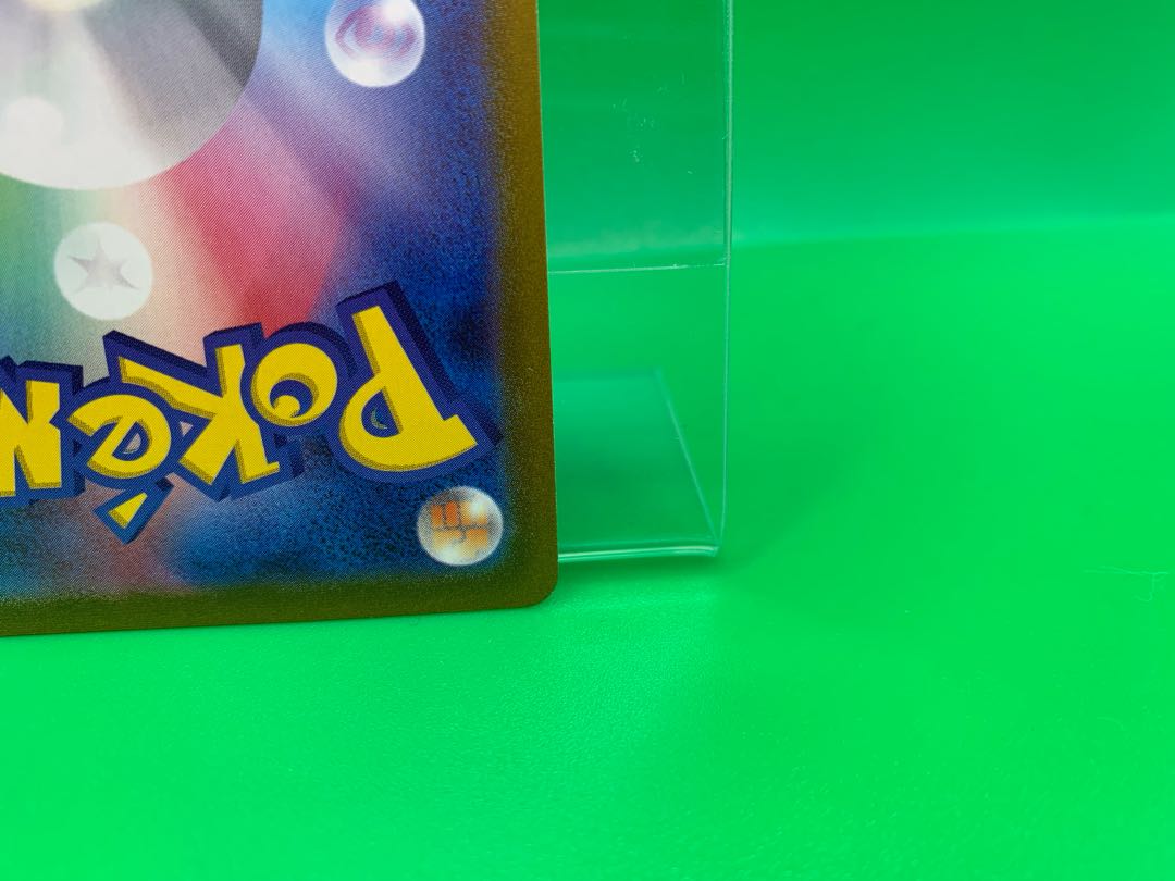 Miscanthus sinensis SR 085/071 1枚