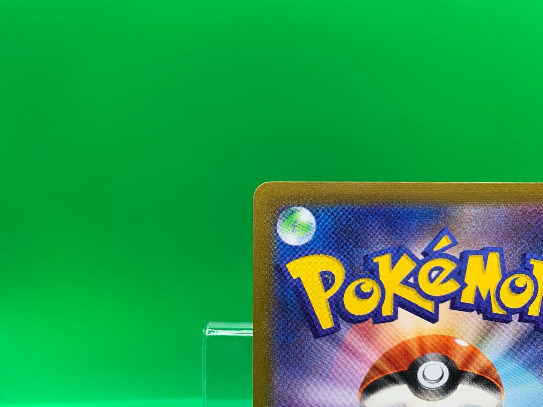 Miscanthus sinensis SR 085/071 1枚