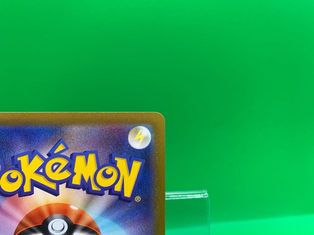 Miscanthus sinensis SR 085/071 1枚