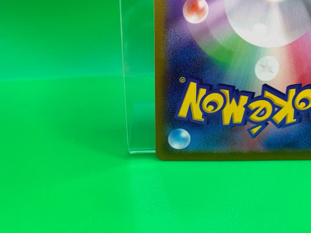 Miscanthus sinensis SR 085/071 1枚