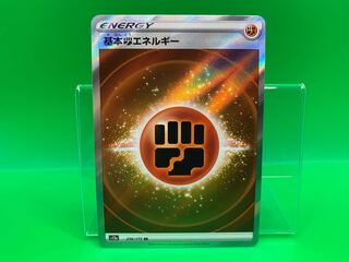 基本闘エネルギー SR 256/172