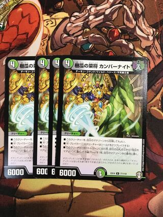 Jukuri-no-na Cumber Night U 77/110