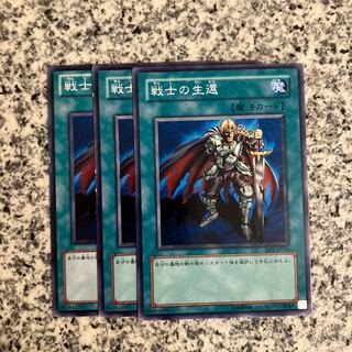 The Warrior Returning Alive Normal JP027