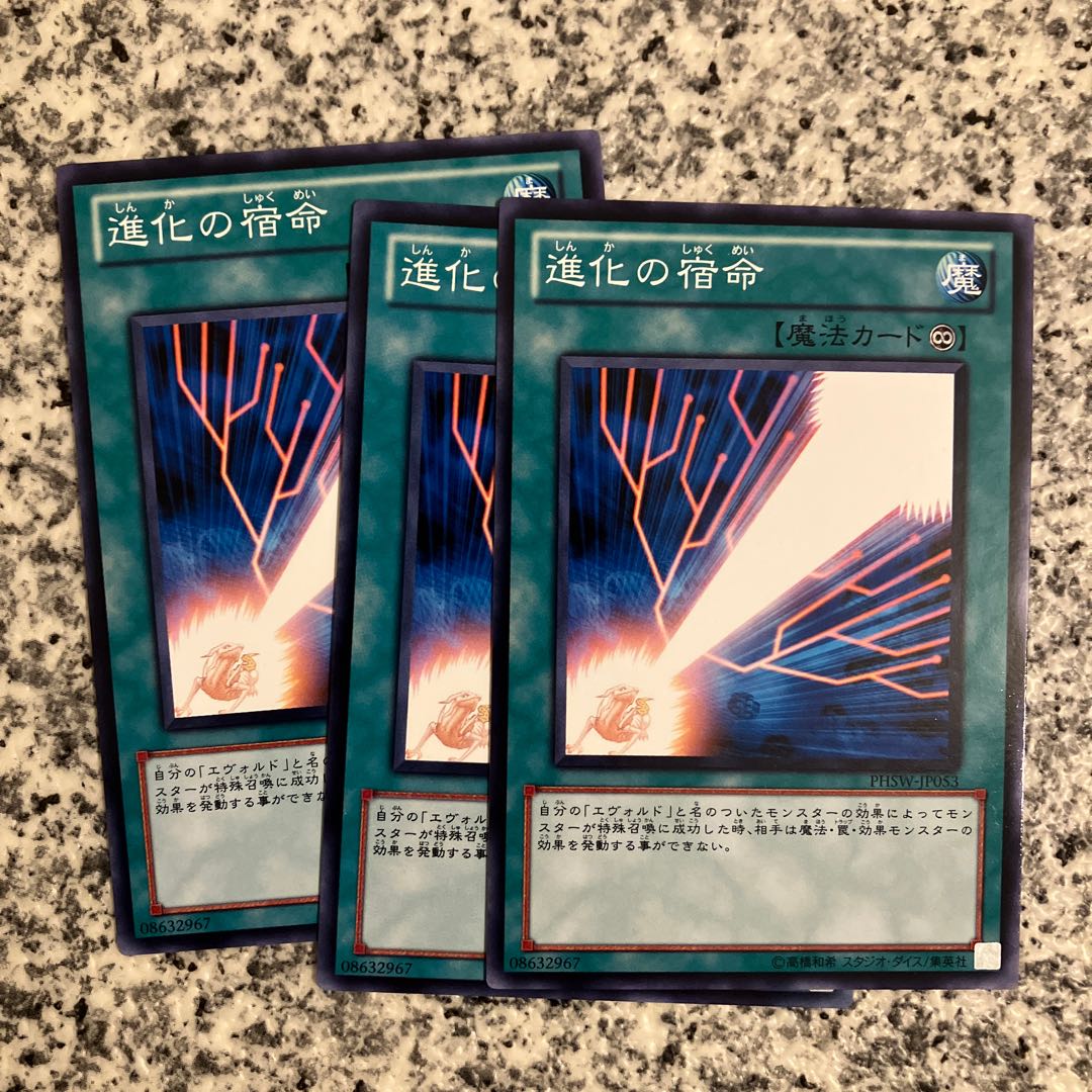 Evo-Karma Normal JP053