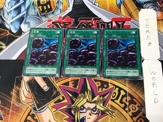 魔菌 2期ver 5 レア 3枚セット てら