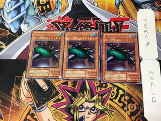 Catapult Turtle 2nd period ver 2 rare, set of 3 Tera