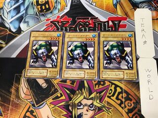 Turtle Tiger 2nd period ver 5 rare set of 3 tera