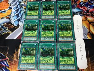 Forest 3 Early Rare Set of 9 Tera.