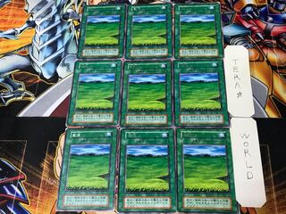 Grasslands 1 Early Rare Set of 9 Tera.