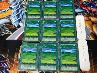 Grasslands 2 Early Rare 9-card set Tera.