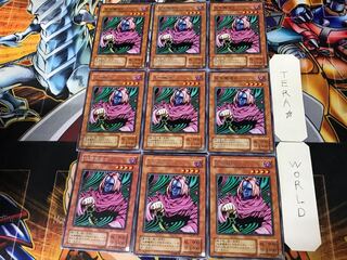 Masked Sorcerer 2nd period ver 1 rare, set of 9 tera