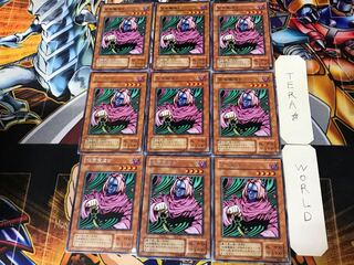 Masked Sorcerer 2nd period ver 2 rare, set of 9 Tera