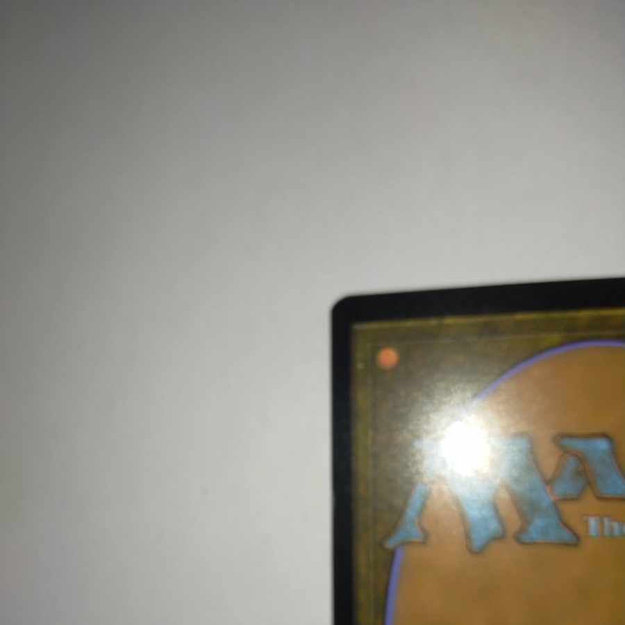 MTG White Plume Adventurer Japanese Stock 1