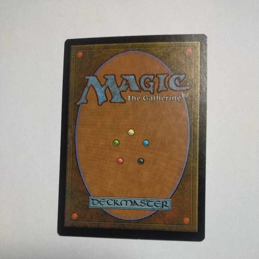 MTG Argothian Enchantress/Argothian Enchantress Japanese Stock 1