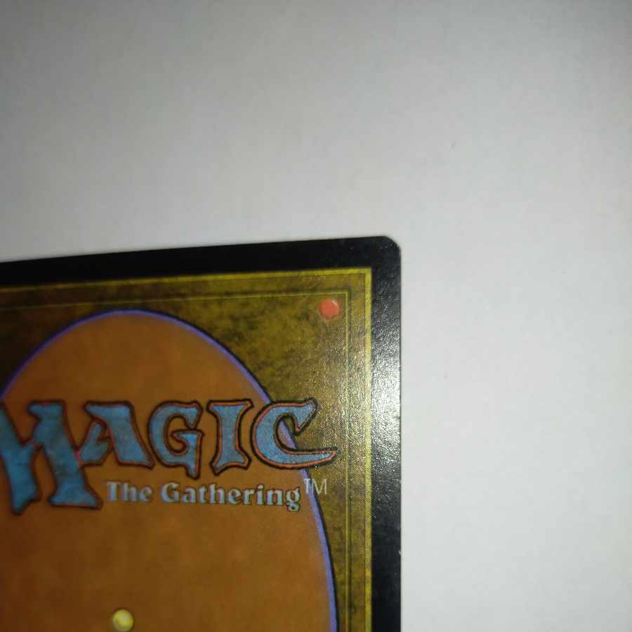 MTG Argothian Enchantress/Argothian Enchantress Japanese Stock 1