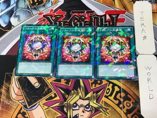 Gishki Photomirror 5 Duel Terminal, set of 3 Tera.