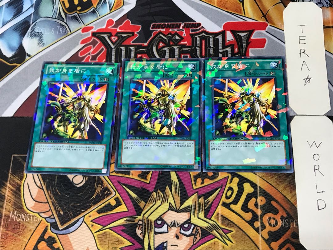 My Body as a Shield 2 Dueling Terminals, set of 3, Tera.