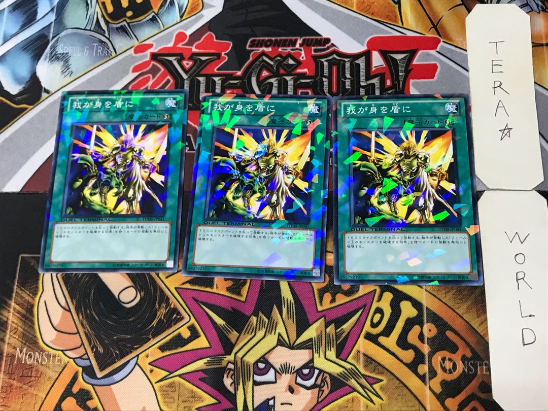 My Body as a Shield 4 Dueling Terminals, set of 3, Tera.