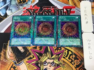 Giant Growth 5 Duel Terminal, set of 3, Tera.