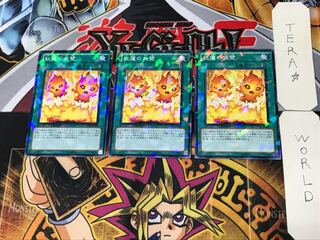 紅蓮の炎壁 5 デュエルターミナル 3枚セット てら